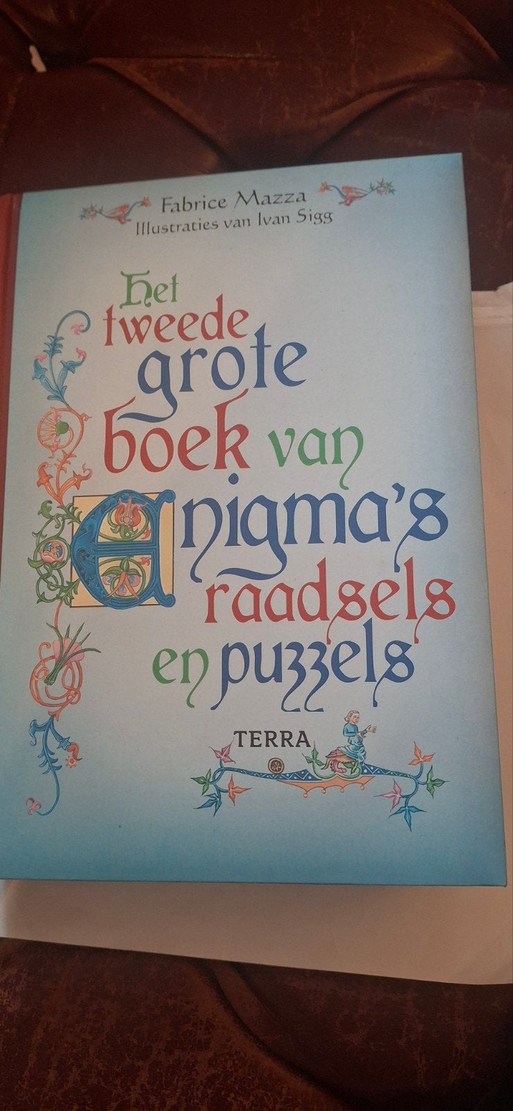 Het tweede grote boek van Enigma's, raadsels en puzzels, Ophalen of Verzenden