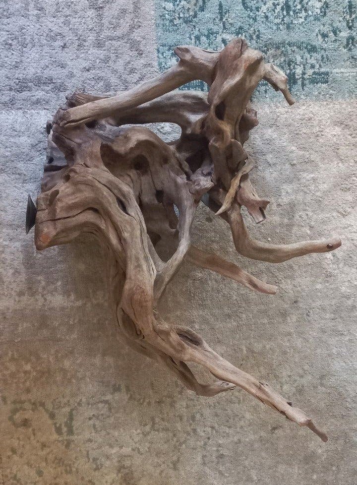 aquarium hout met zuignap, Ophalen, Zo goed als nieuw, Plant(en), Steen of Hout
