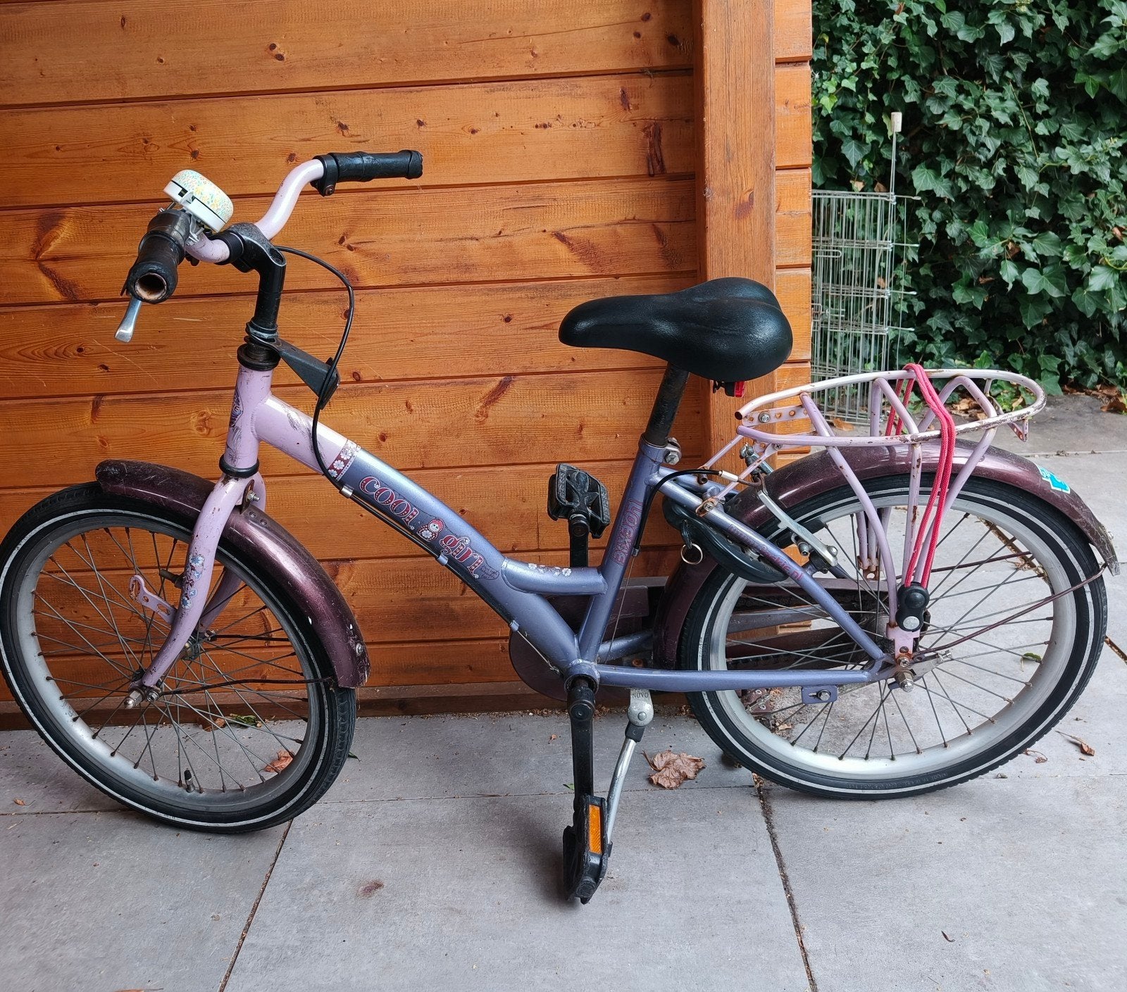 Kinderfiets 20 inch - Roze/Paars met bagagedrager, Ophalen, Gebruikt, Terugtraprem, 20 inch of meer