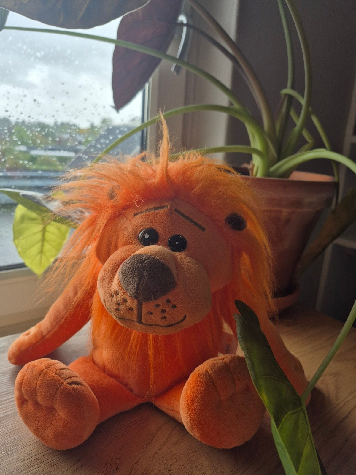 Nieuwe ING knuffel spaarpot leeuw Oranje, Ophalen of Verzenden, Nieuw, Overige materialen, Dier