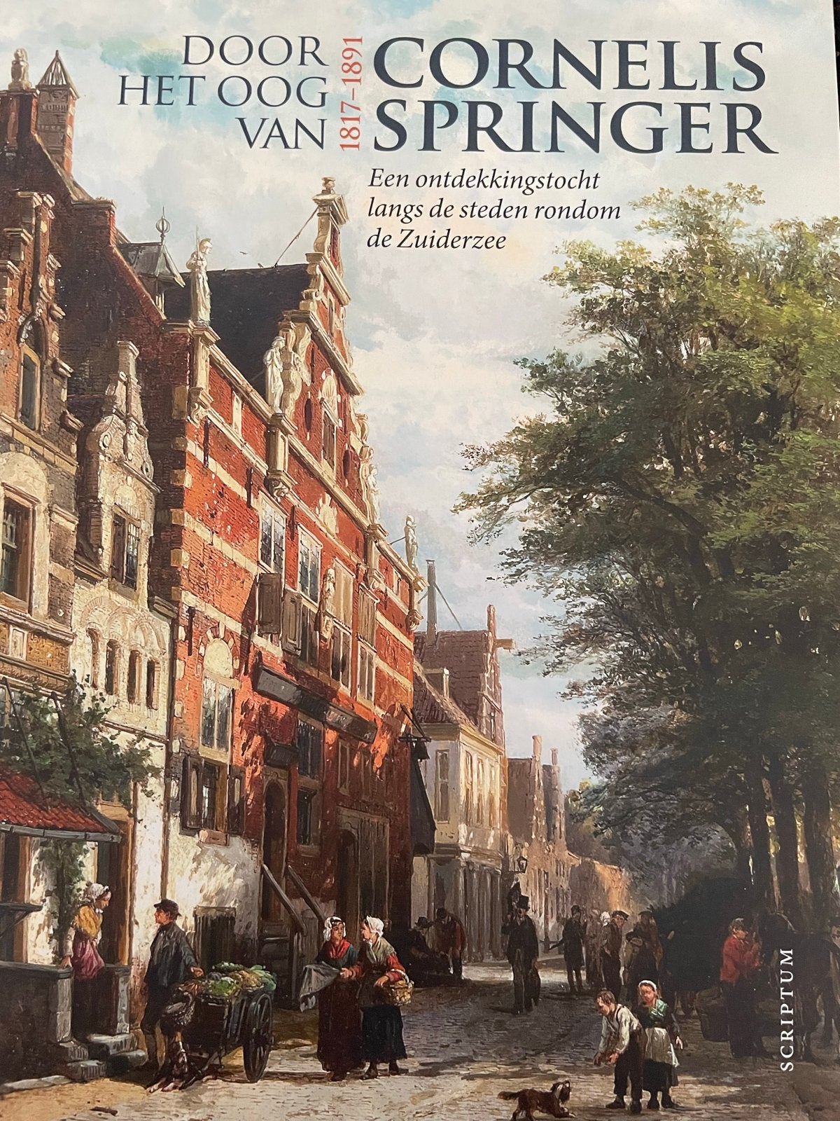 Door het oog van Cornelis Springer - Zuiderzee, Ophalen of Verzenden, Zo goed als nieuw, Nederland