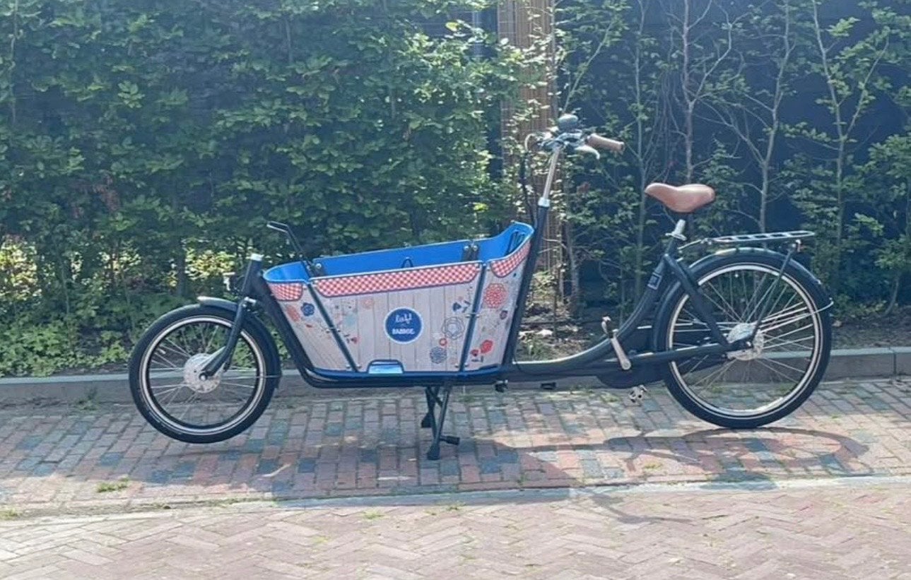 Bakfiets Babboe Big, 4 kinderen of meer, Gebruikt, Trommelrem, Ophalen