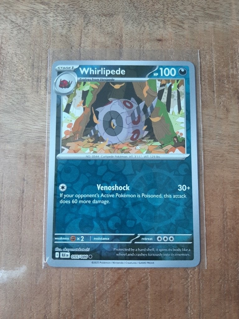 Whirlipede #55, Reverse Holo, Pokemon Black Bolt, Ophalen of Verzenden, Nieuw, Losse kaart