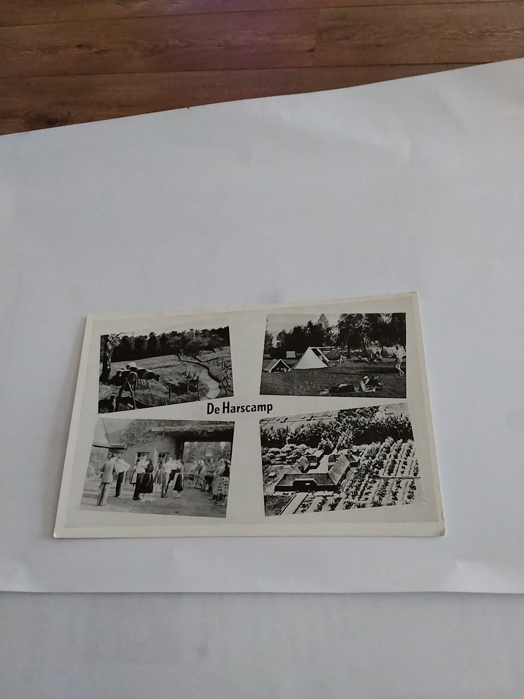 Oude ansichtkaart De Harscamp Ede Gelderland, Ophalen of Verzenden, 1940 tot 1960, Gelopen, Gelderland
