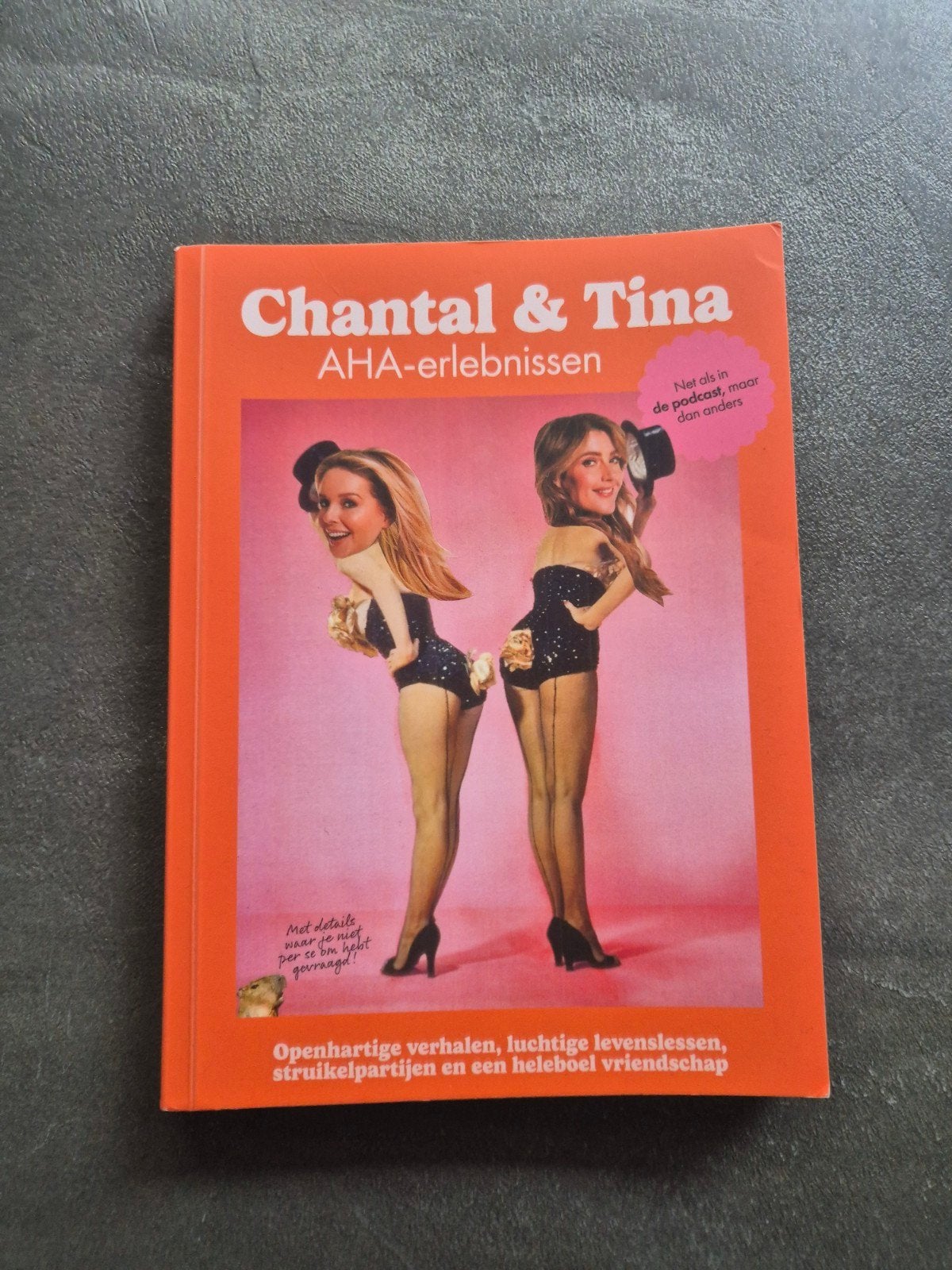 Chantal en Tina, Ophalen of Verzenden, Zo goed als nieuw, Media