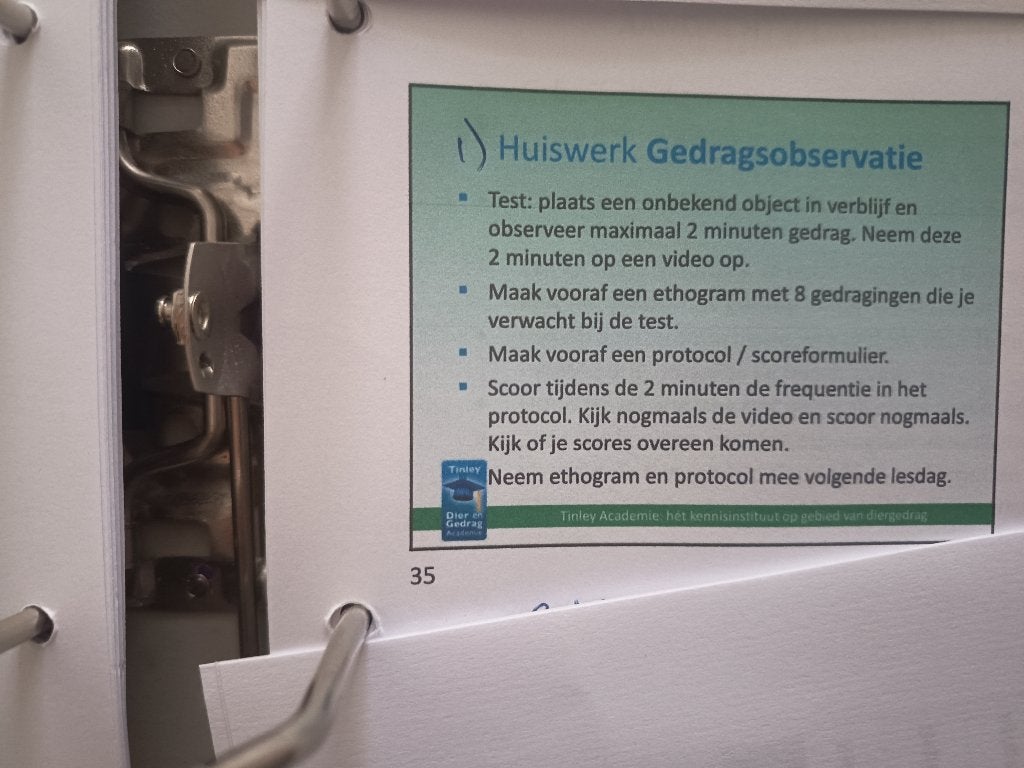 Gedragsobservatie paard/pony, Ophalen of Verzenden, Nieuw, Overige disciplines