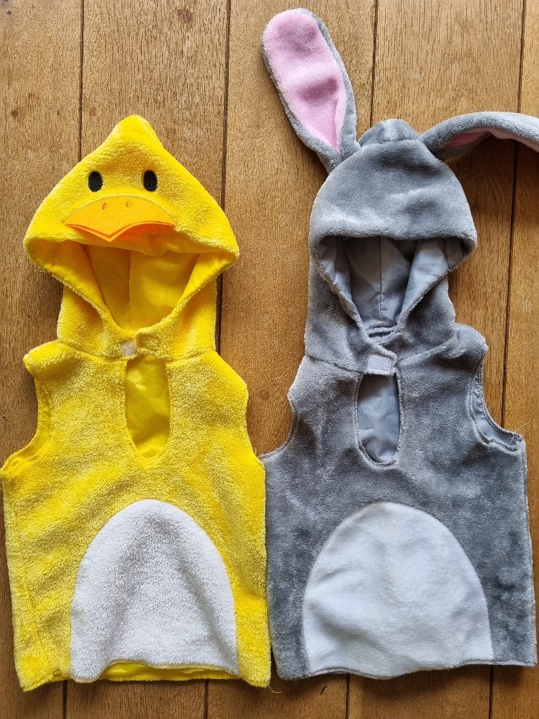 Verkleedkostuum Kuiken en Konijn, Ophalen of Verzenden, Nieuw