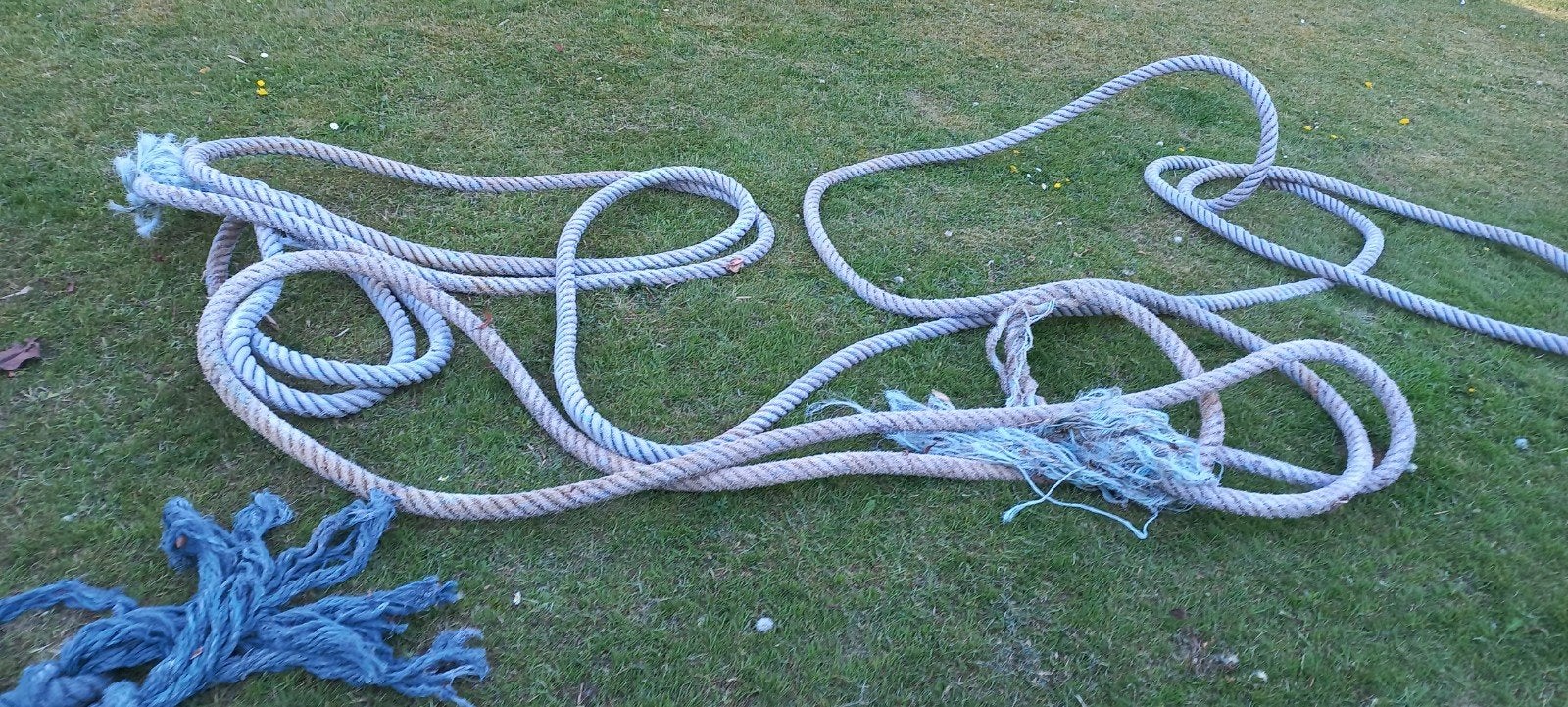 Scheepstouw curiosa, Ophalen