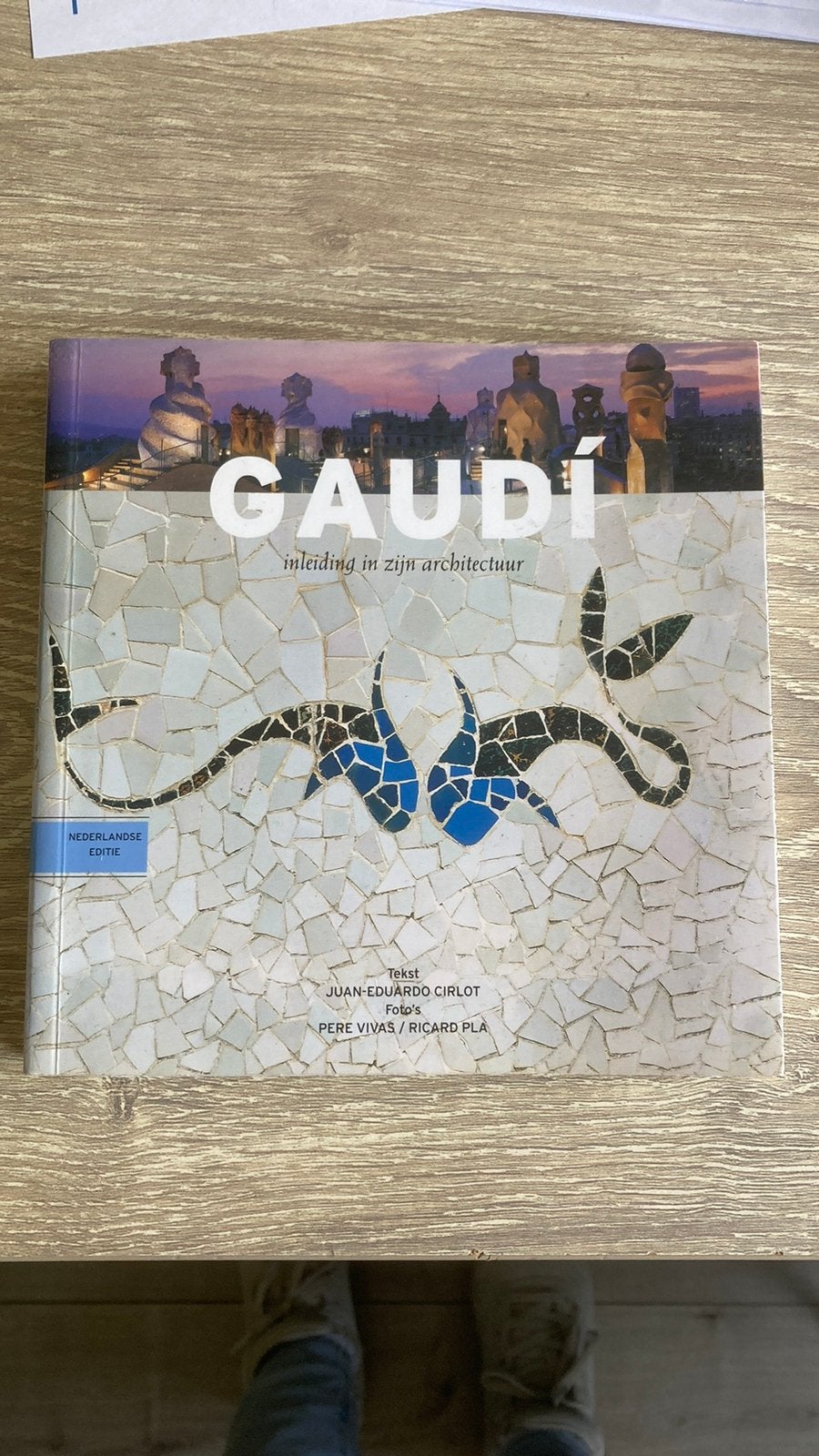 Gaudi, 2 gave boeken, Boeken, Ophalen of Verzenden