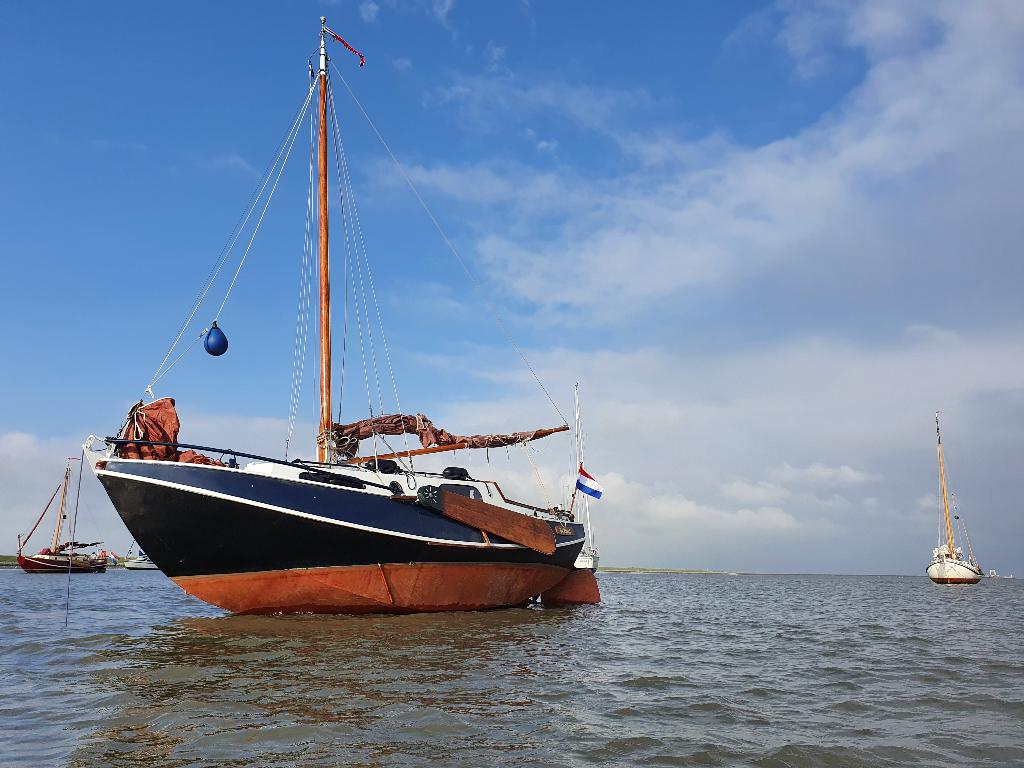 Baarda zeegrundel met vrijwel nieuwe motor, 9 m, Gebruikt, Binnenboordmotor, Diesel