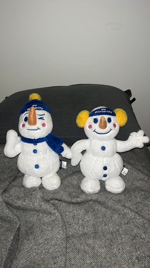 NS Wintercity knuffeltjes, Ophalen of Verzenden, Zo goed als nieuw, Overige typen