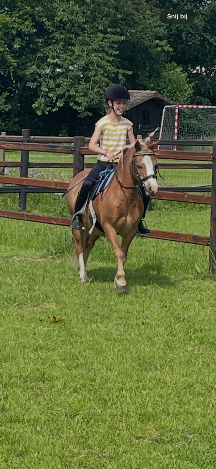 Welsh pony A 1.12 16 jaar oud ruin, Dieren en Toebehoren, Merrie, A pony (tot 1.17m), 0 tot 2 jaar
