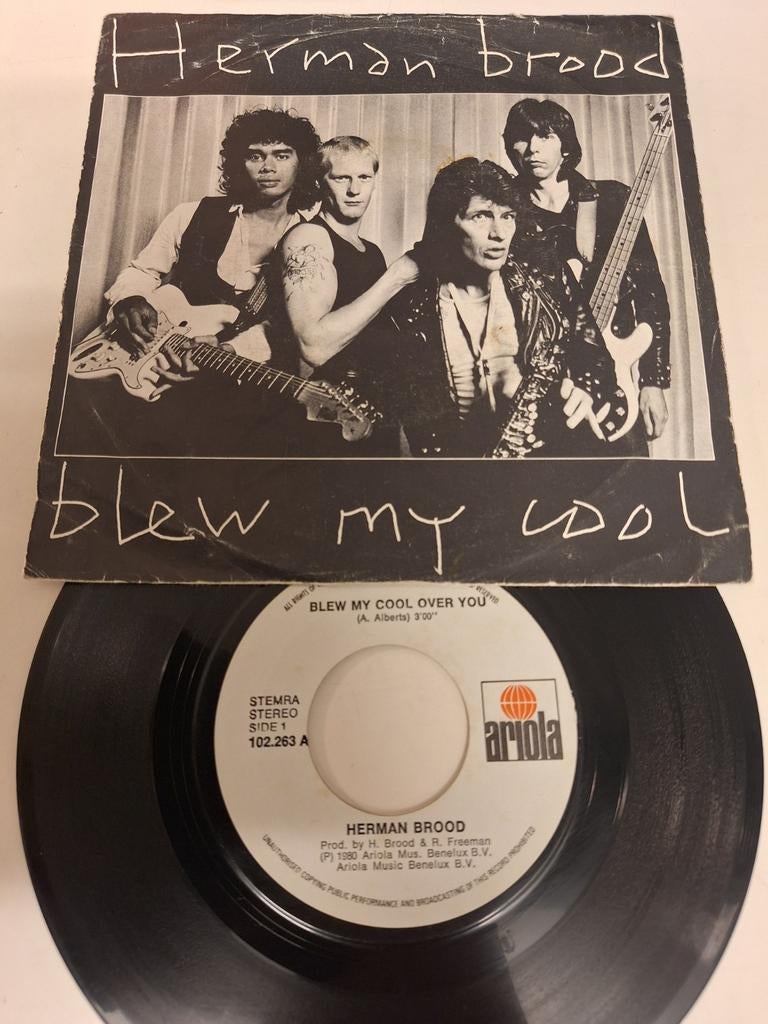 Herman Brood - Blew my cool over you 1980., Verzenden, 7 inch, 1980 - 1989, Fotohoes