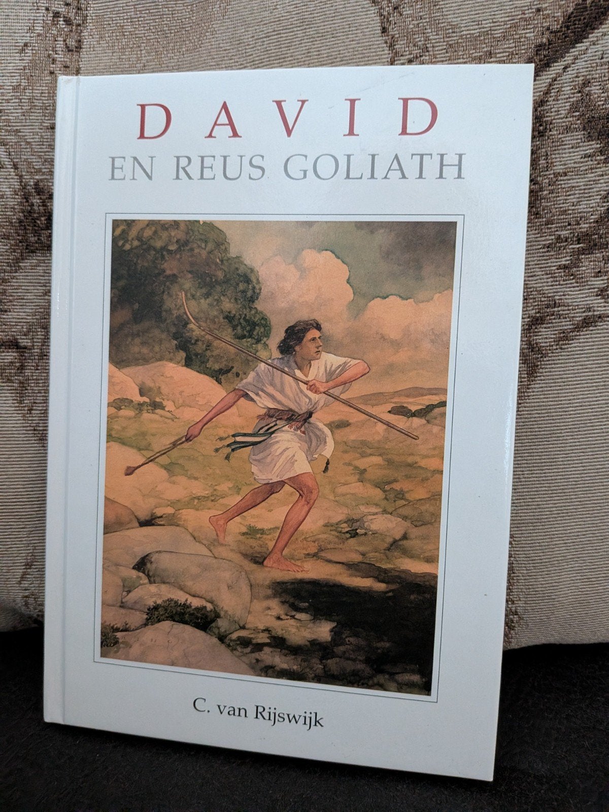 C .van Rijswijk, David en Goliath, Ophalen of Verzenden, Zo goed als nieuw, Fictie algemeen