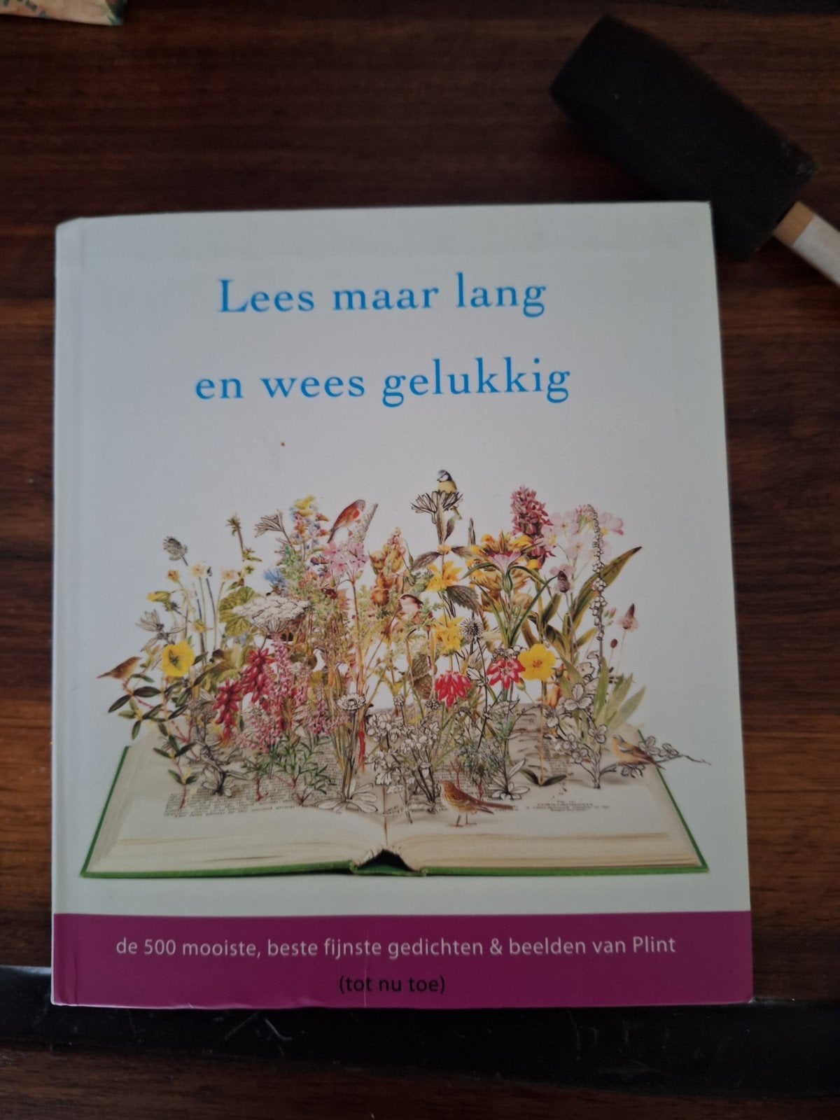 Lees maar lang en wees gelukkig - Plint poëziebundel, Ophalen of Verzenden, Zo goed als nieuw, Plint, Meerdere auteurs