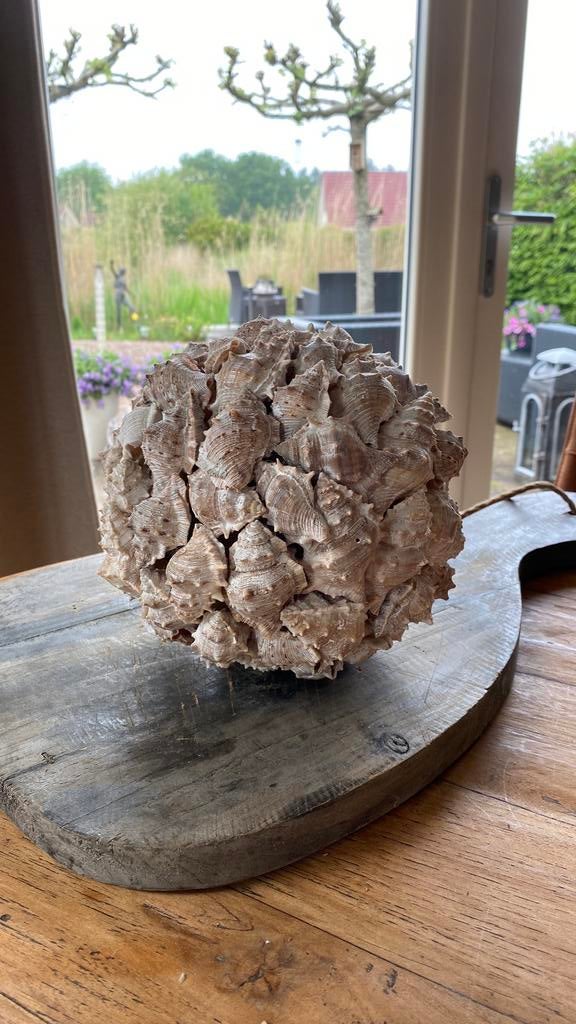 Decoratie schelpenbol (2stuks), Ophalen, Zo goed als nieuw, Rond