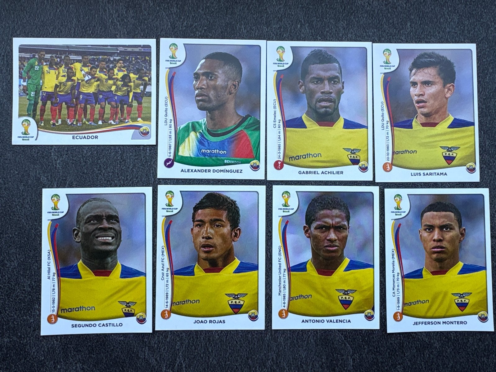 Panini WK 2014 Ecuador Voetbalplaatjes - Set van 8, Ophalen of Verzenden, Zo goed als nieuw, Buitenlandse clubs, Poster, Plaatje of Sticker