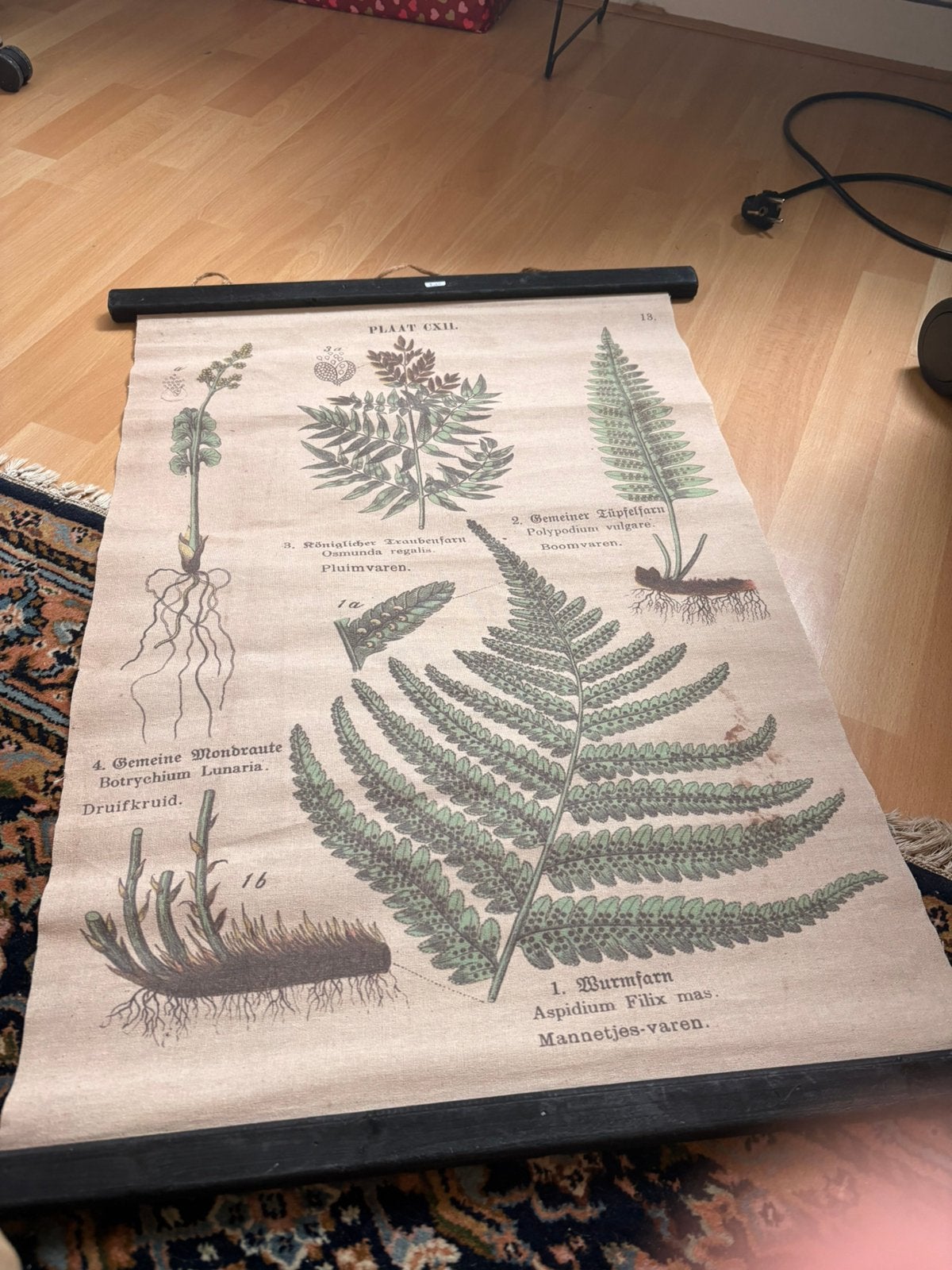 Wandkleed, 50 – 75, Gebruikt, Ophalen of Verzenden, Schilderij
