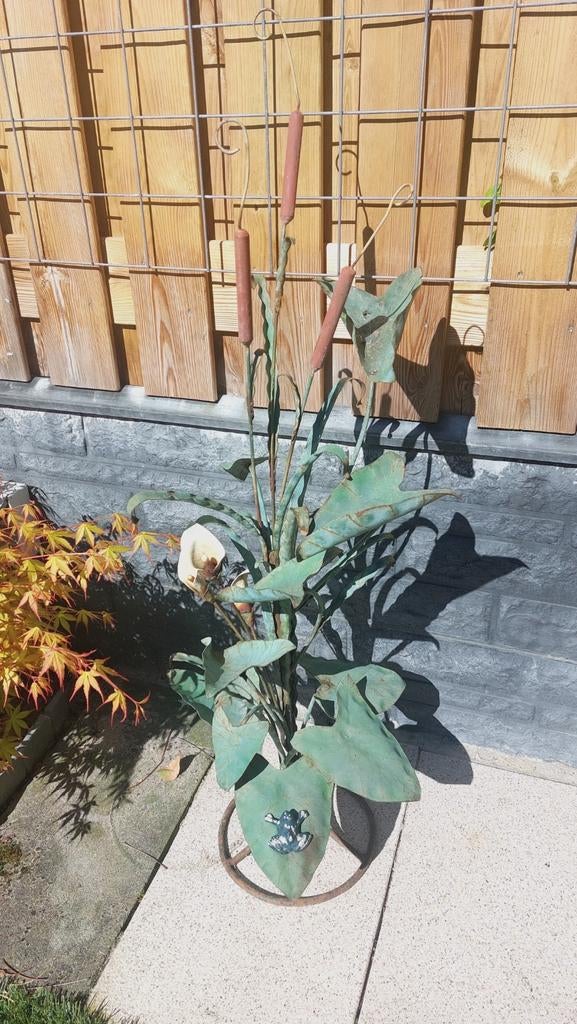 Gietijzeren sier standaard arendskelk met kikker op blad, Ophalen, Bloeit niet, Overige soorten, Volle zon