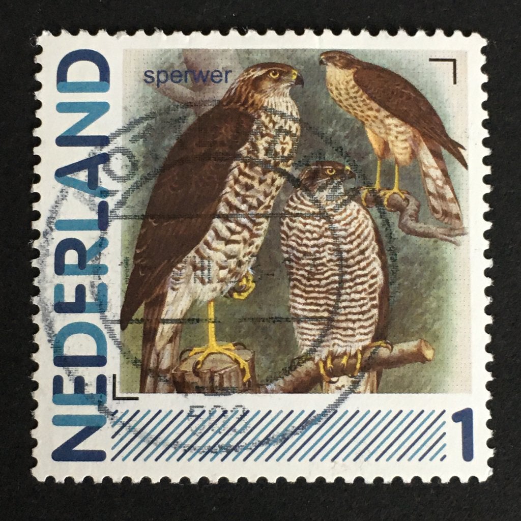 2747 Persoonlijke - Sperwer - gestempeld, Postzegels en Munten, Ophalen of Verzenden, Na 1940, Gestempeld