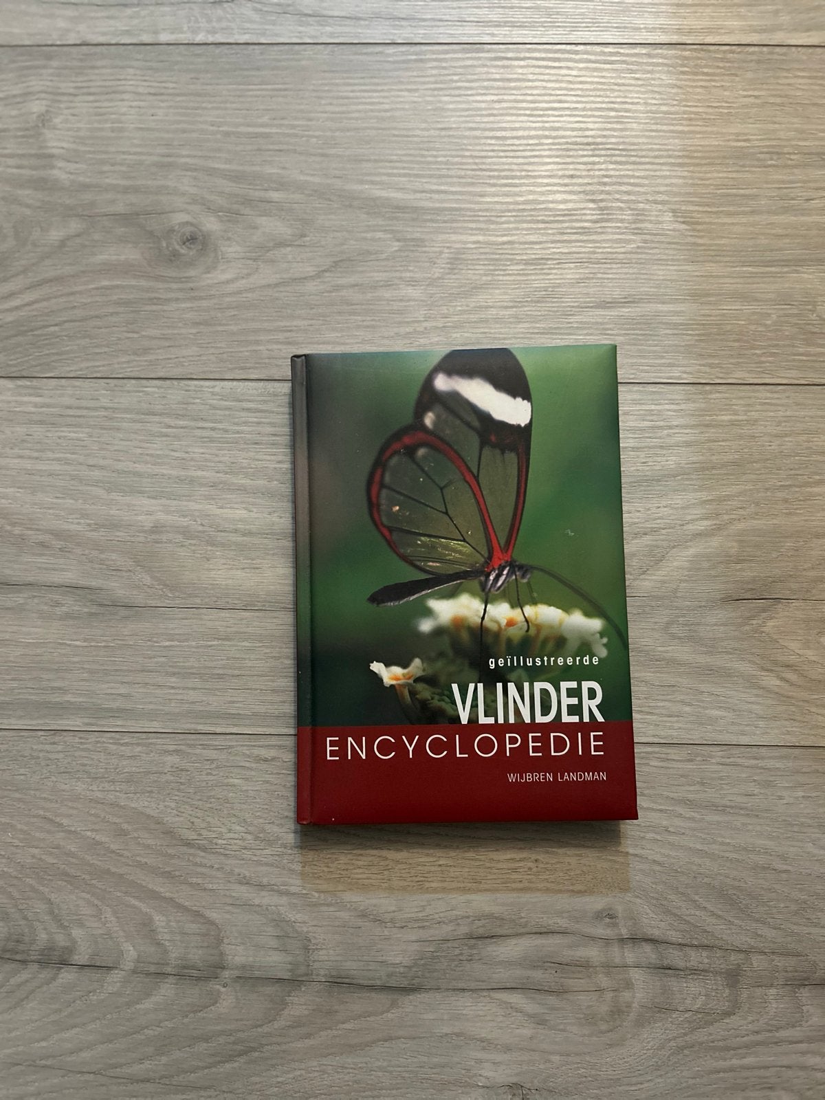 Geïllustreerde Vlinder Encyclopedie - Wijbren Landman, Boeken, Verzenden, Zo goed als nieuw, Overige onderwerpen