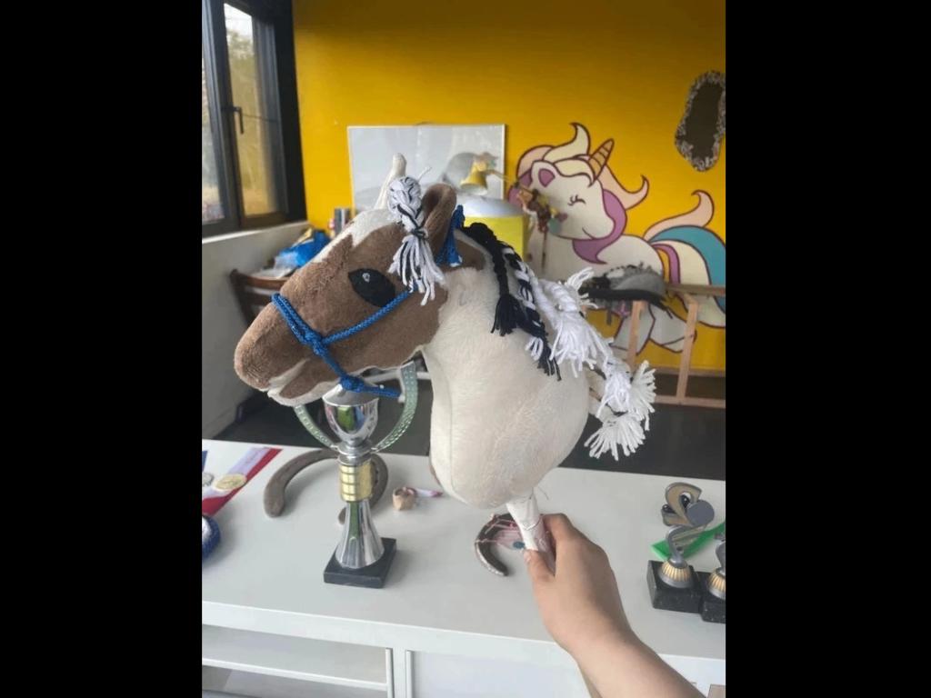 Hobbyhorse, Kinderen en Baby's, Speelgoed | Hobbelfiguren, Ophalen of Verzenden, Nieuw