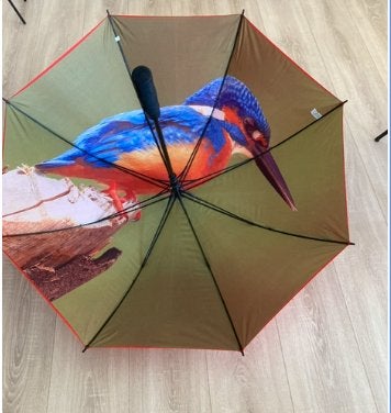Grote paraplu met ijsvogel  diameter 140cm, Ophalen, Nieuw