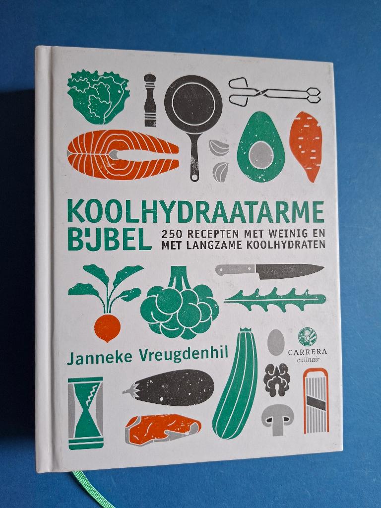 Koolhydraatarme bijbel - Janneke Vreugdenhil, Boeken, Kookboeken, Verzenden, Zo goed als nieuw