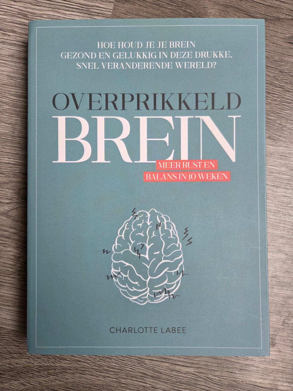Overprikkeld Brein: Meer rust en balans in 10 weken, Boeken, Charlotte Labee, Ophalen of Verzenden, Zo goed als nieuw, Nederland