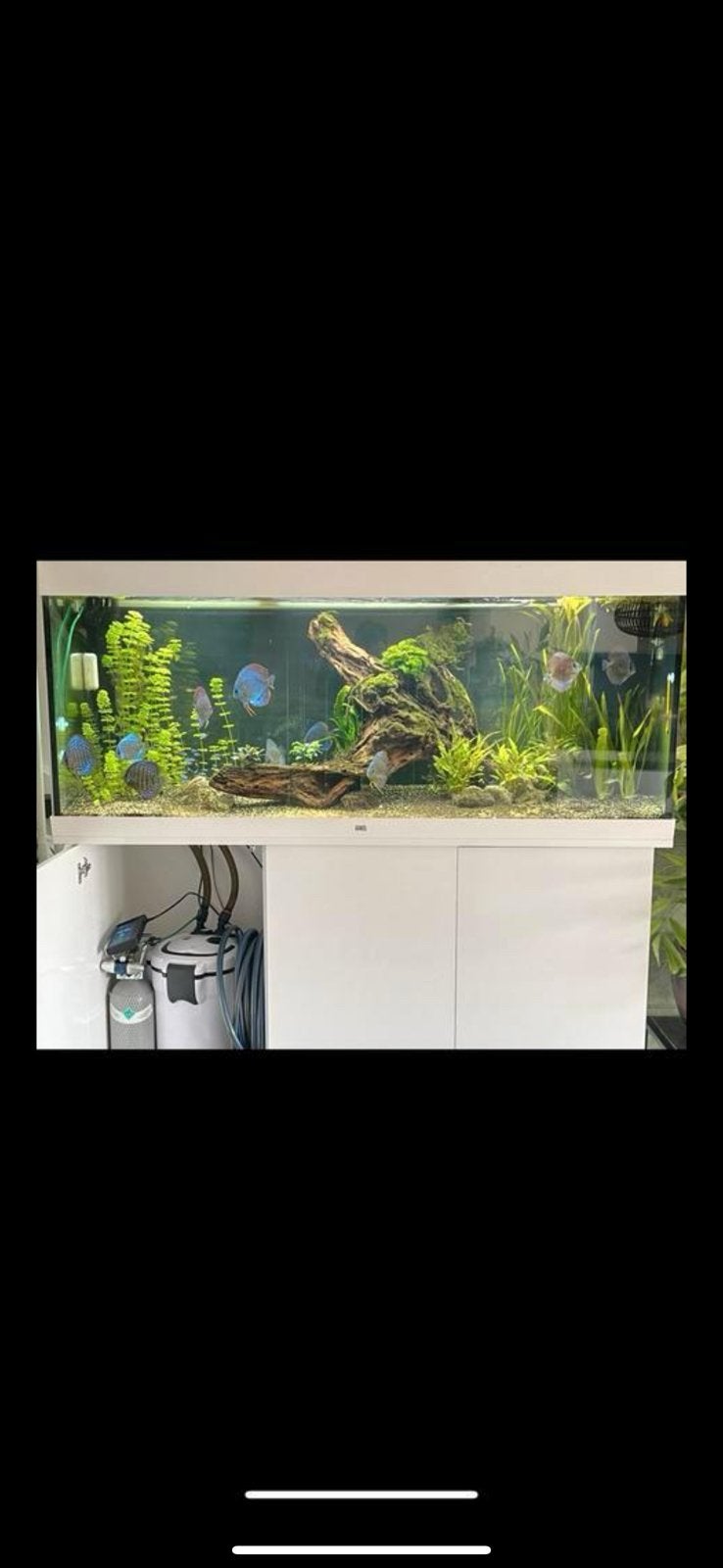 Aquarium, Dieren en Toebehoren, Ophalen, Zo goed als nieuw, Leeg aquarium