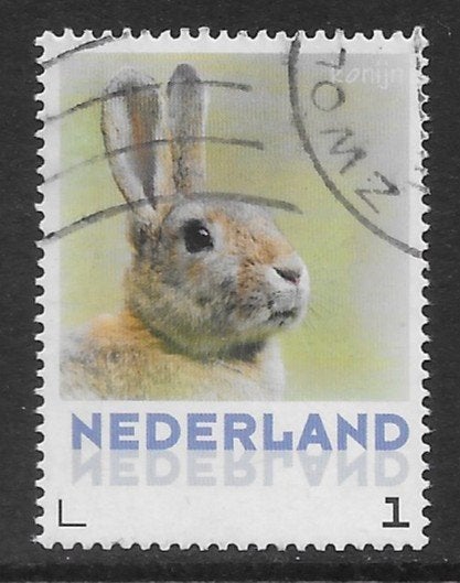 Persoonlijke, Zoogdieren, Konijn (K0111), Ophalen of Verzenden
