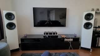 fyne audio f502sp special production, Vloerstaande luidspreker, Zo goed als nieuw, Ophalen, 150 watt of meer