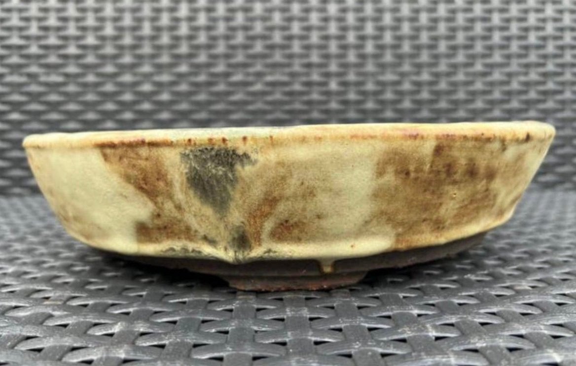 Bonsai schaal rond handgemaakt crème-bruin tinten 27x6,4, 25 tot 40 cm, Rond, Nieuw, Ophalen of Verzenden
