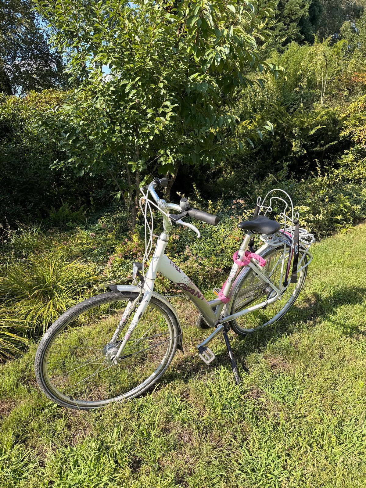 Giant damesfiets met Shimano Nexus 3 versnellingen, Fietsen en Brommers, Ophalen, Gebruikt, Versnellingen, Giant