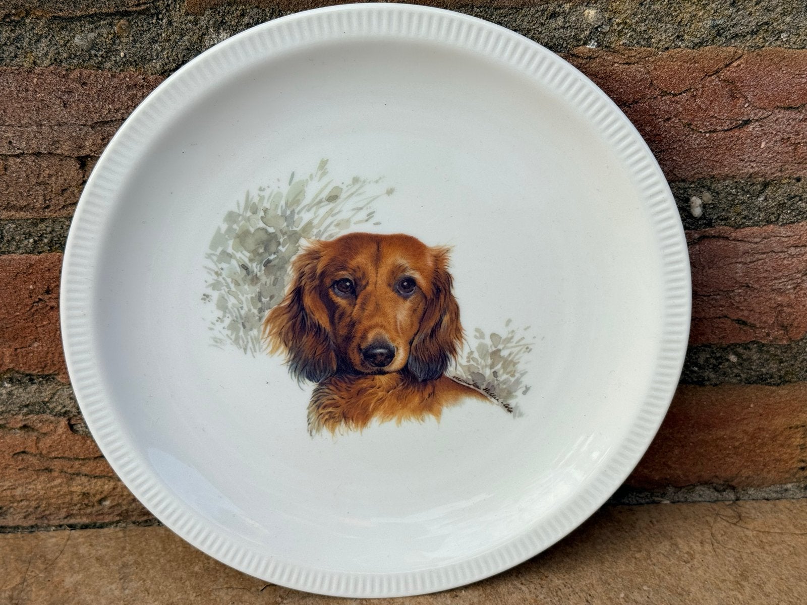Royal Porcelain Decoratief Bord Teckel - 20 cm, Overige merken, Verzenden, Vintage, Zo goed als nieuw