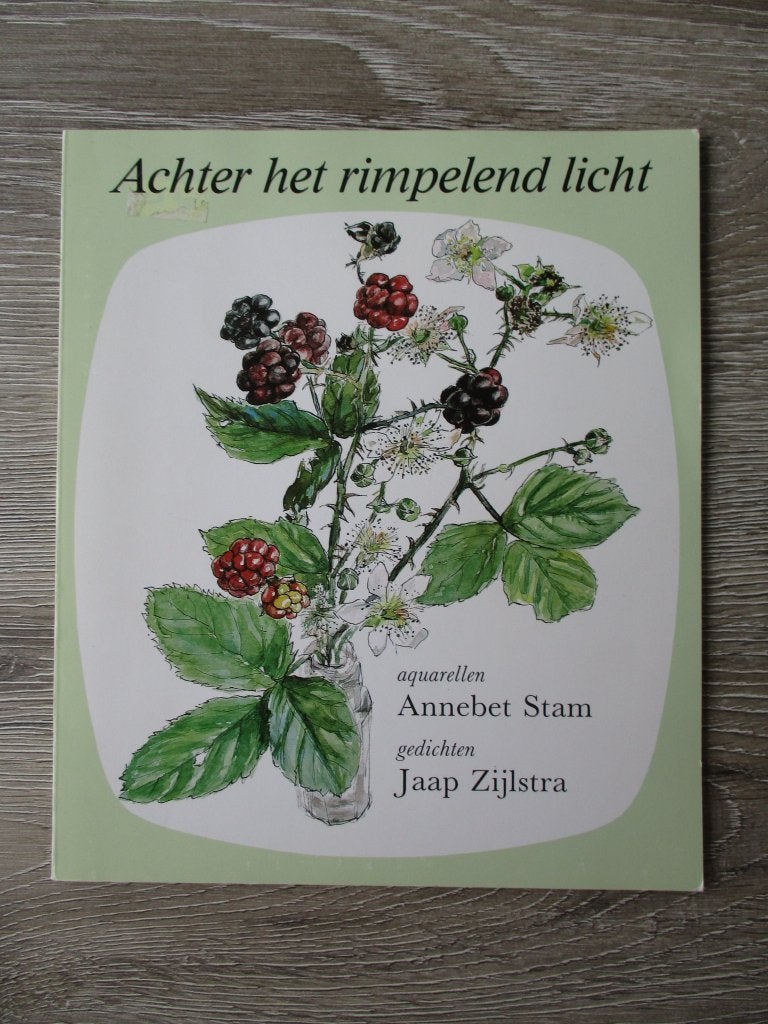 Achter het rimpelend licht - Jaap Zijlstra, Ophalen of Verzenden, Gelezen