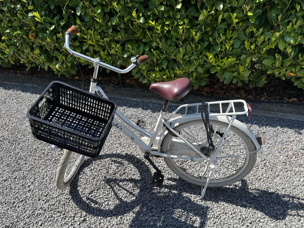 Mulino Meisjesfiets 24 inch, Ophalen, Gebruikt, 24 inch