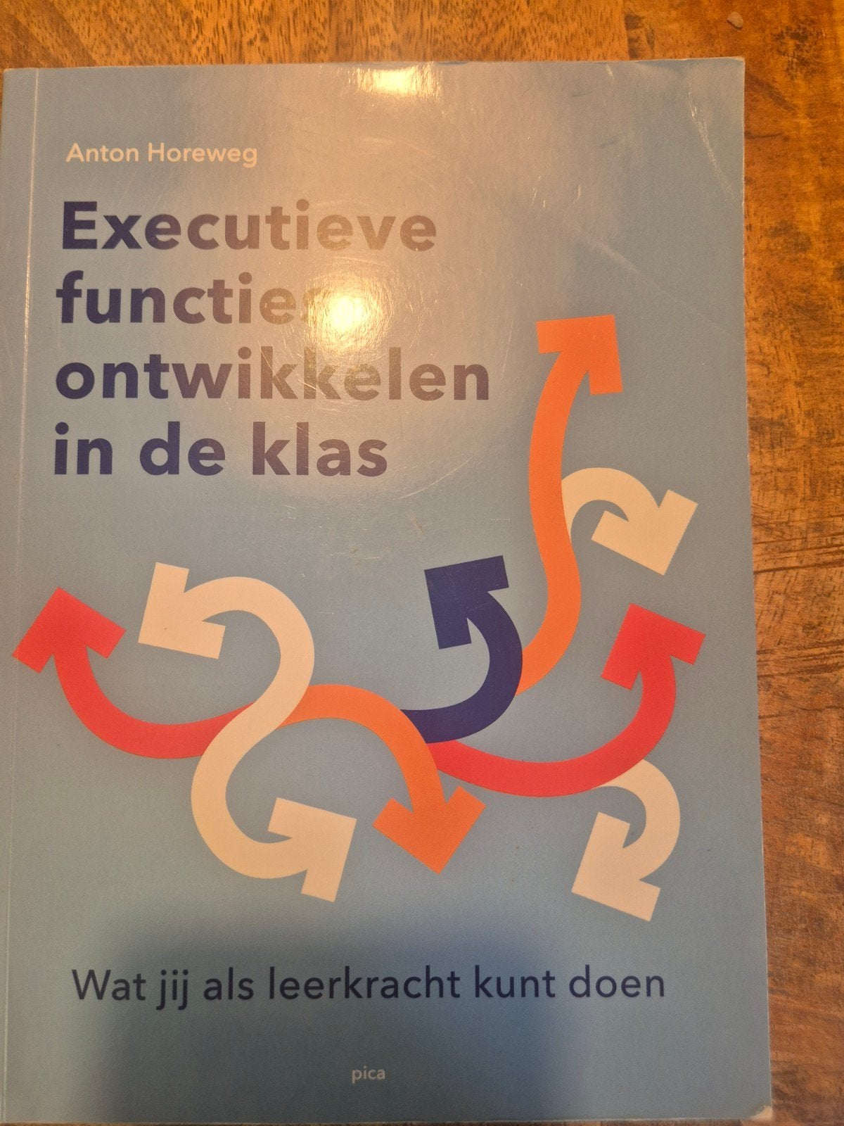 Executieve functies ontwikkelen in de klas - Anton Horeweg, Overige vakken, Ophalen of Verzenden, Zo goed als nieuw, Anton Horeweg