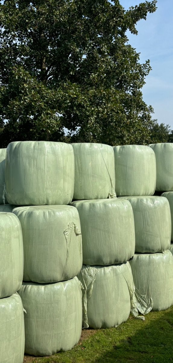 Speciale aanbieding!! Midibalen voordroog ronde balen, Ophalen, Vee