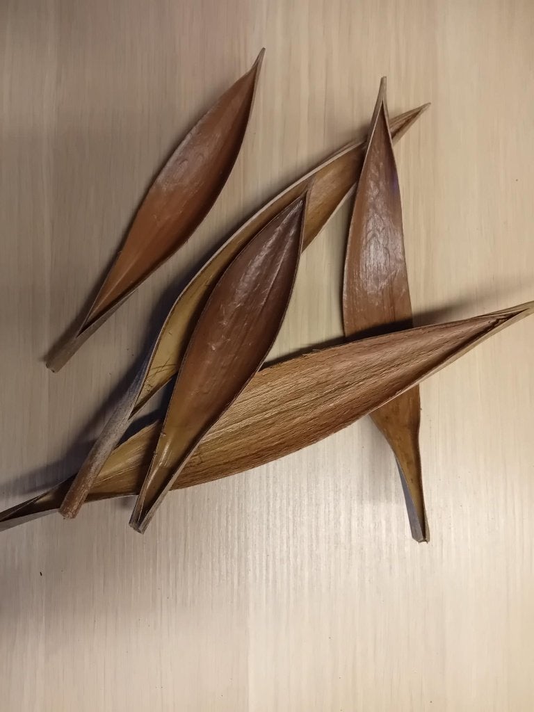 Natuulijke decoratie amazone biotoop (lees advertentie), Ophalen, Nieuw, Plant(en), Steen of Hout, Overige merken