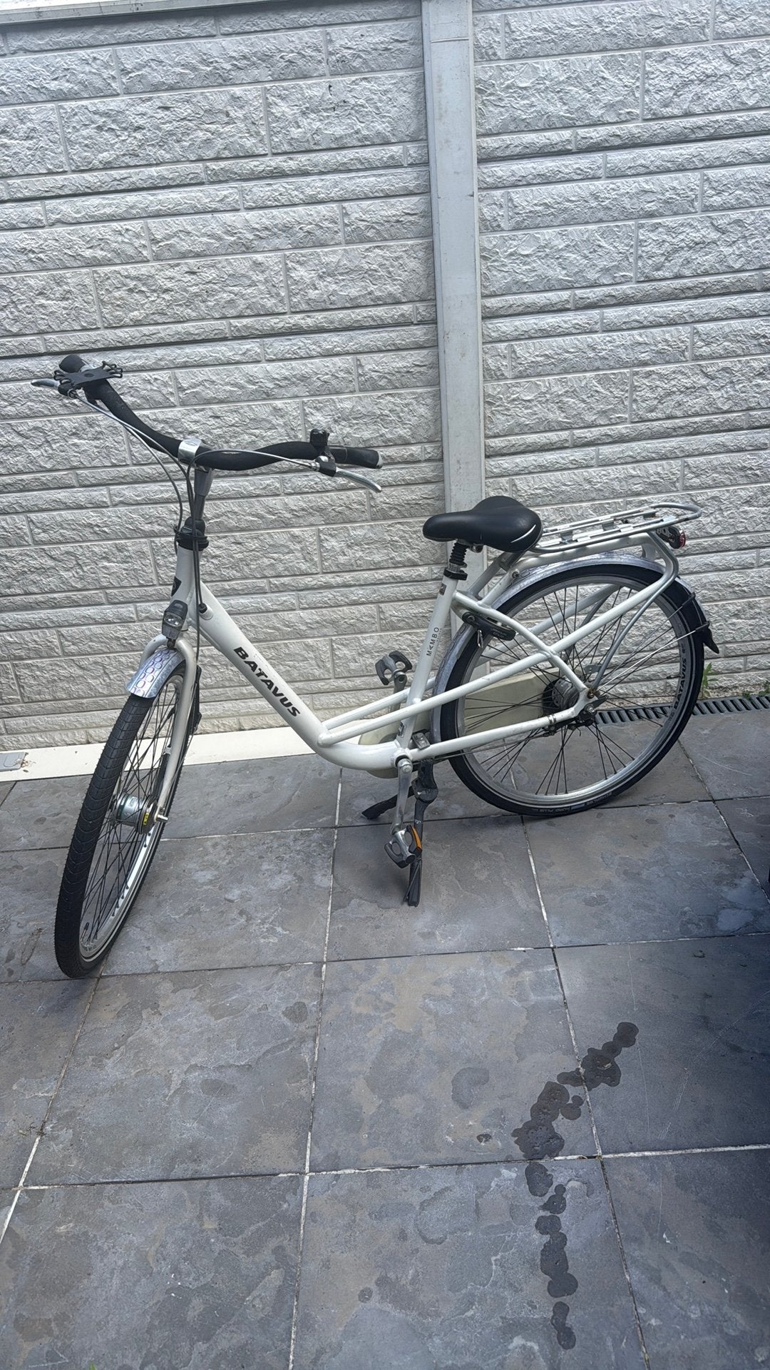 Dames fiets van merk Batavus, Fietsen en Brommers, Fietsen | Dames | Damesfietsen, Ophalen of Verzenden, Gebruikt, Batavus