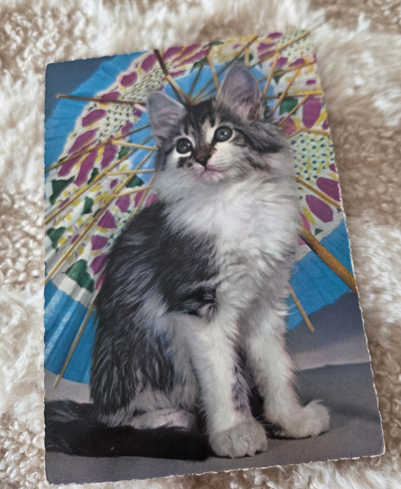 Schattige Kat met Paraplu, Verzamelen, Verzenden, 1960 tot 1980, Ongelopen, Hond of Kat