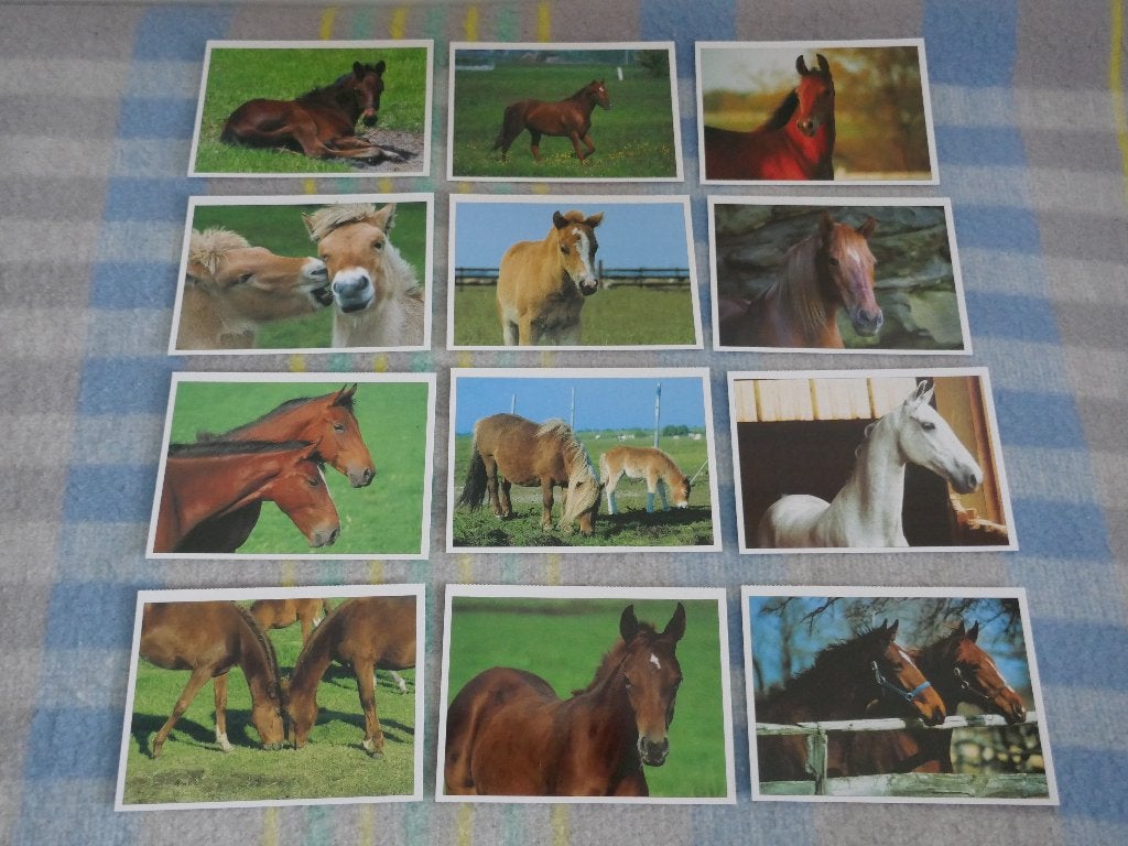 12 x Paard Pony Veulen Fjord Shetlander Hallmark 2003, Ophalen of Verzenden, 1980 tot heden, Ongelopen, Paard
