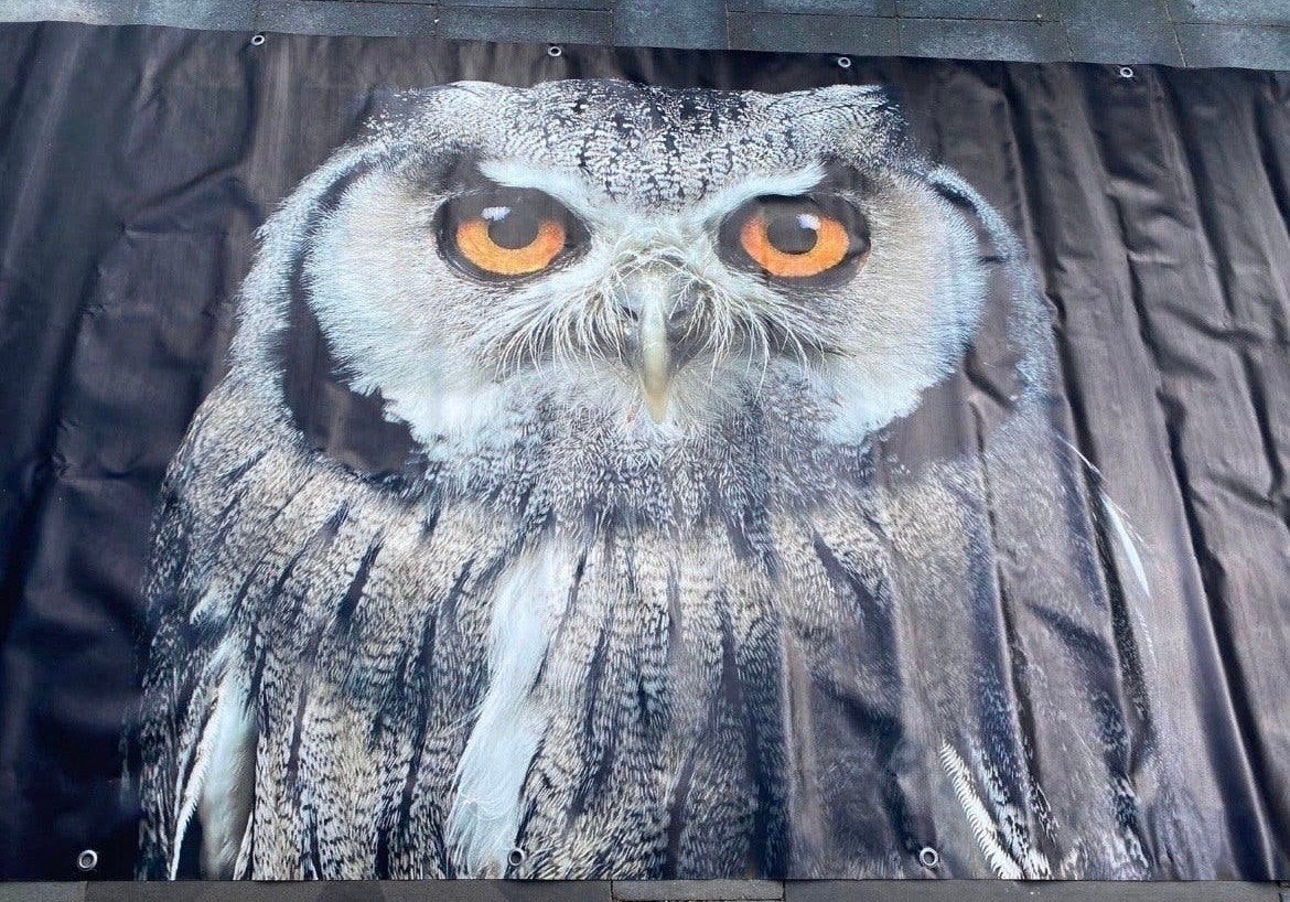 Grote tuinposter met uil (296x130cm), Ophalen of Verzenden, Zo goed als nieuw