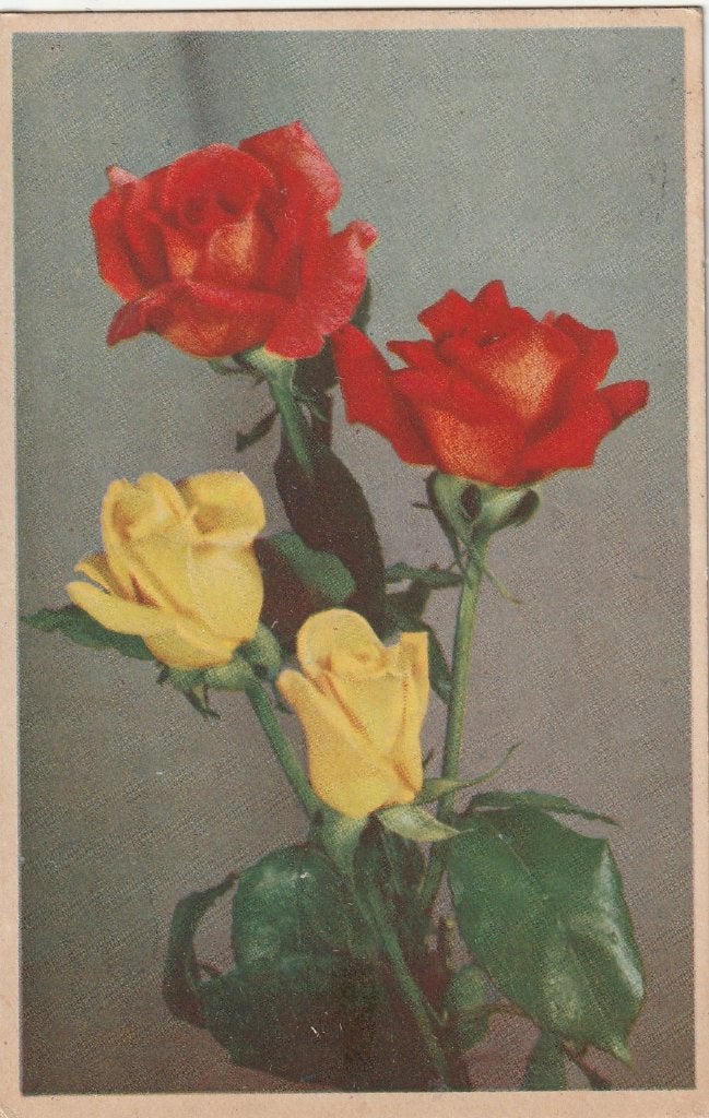BLOEM ROOS ROZEN UIT 1949 ZEER MOOIE OUDE KAART KO751, Ophalen of Verzenden, 1940 tot 1960, Gelopen, Overige thema's