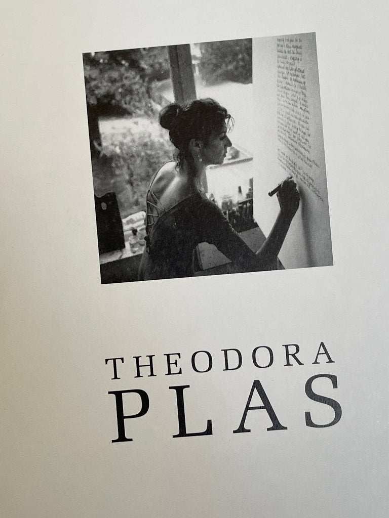 Theodora Plas (Kunstenaars) 1997, Ophalen of Verzenden, Zo goed als nieuw, Schilder- en Tekenkunst