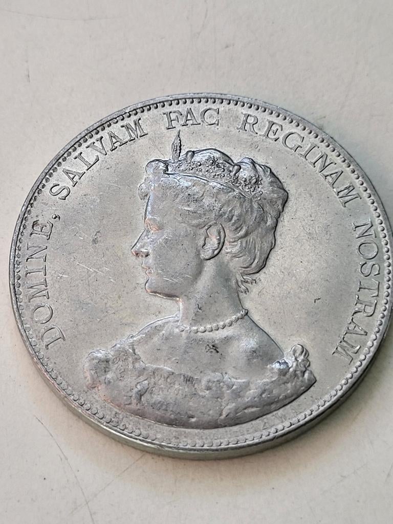 Grote penning aluminium Inhuldiging Wilhelmina 1898 zeldzaam, Ophalen of Verzenden