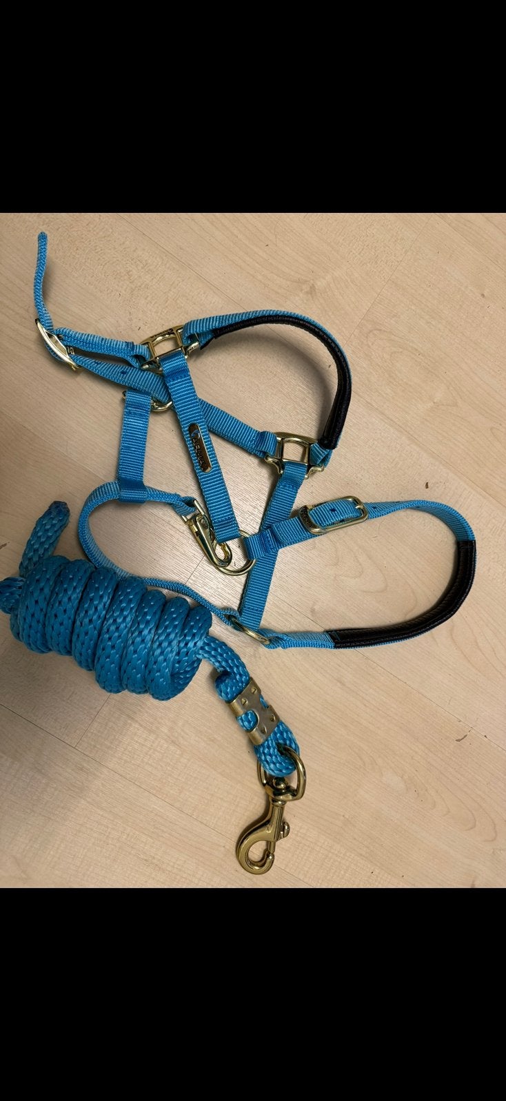 Shetlander halster met bijpassende touw, Ophalen of Verzenden, Nieuw