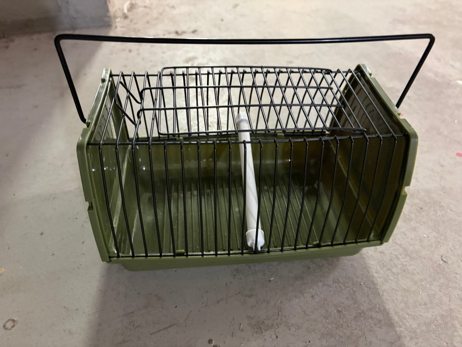 Kooitje om kleine vogels te vervoeren, Parkiet