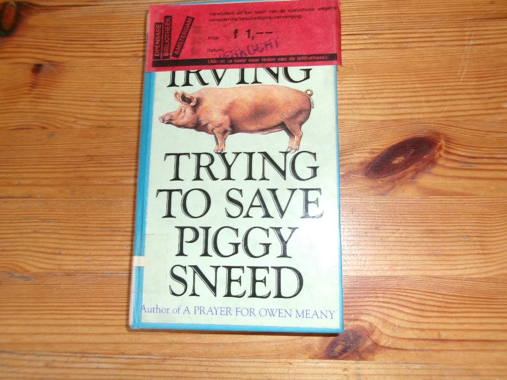 John irving - trying to save piggy sneed, Ophalen of Verzenden, Gelezen